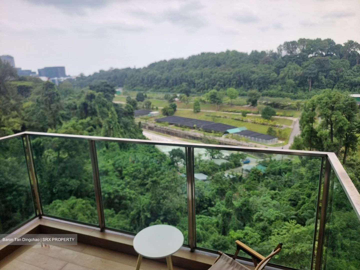 Normanton Park (D5), Apartment #531449221